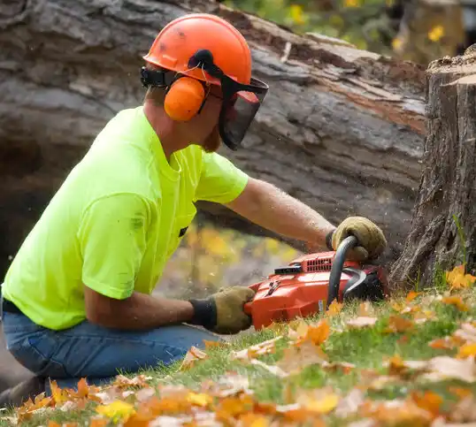 tree services Green Isle